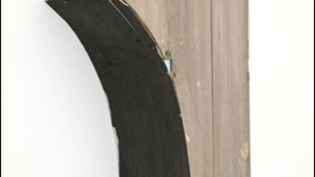 Image: Ana Santos: vidas minúsculas