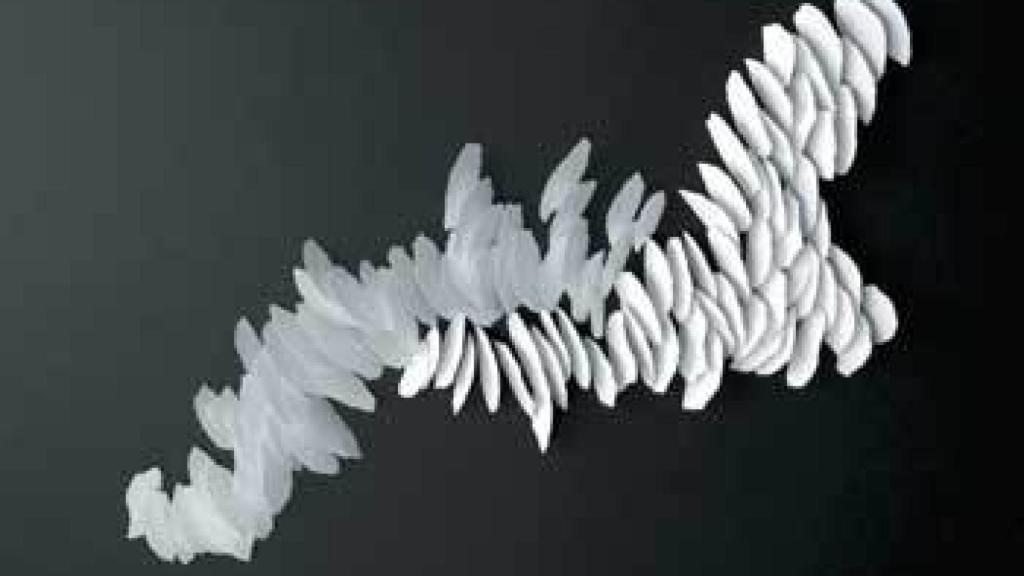 Image: Victoria Diehl