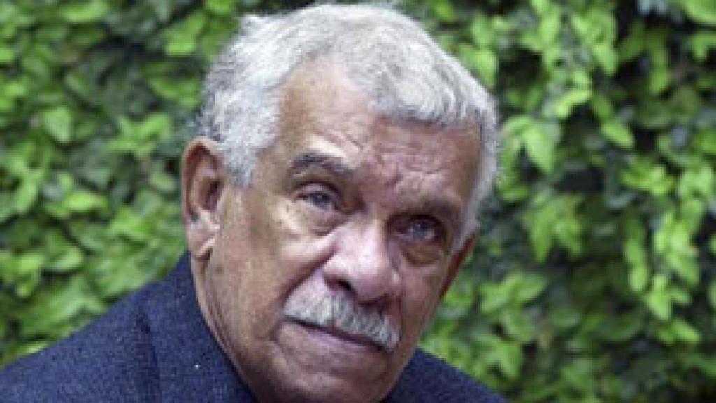 Image: Garcetas blancas