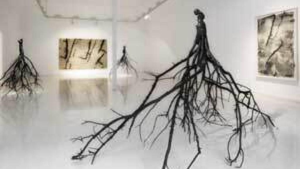 Image: Guillem Nadal