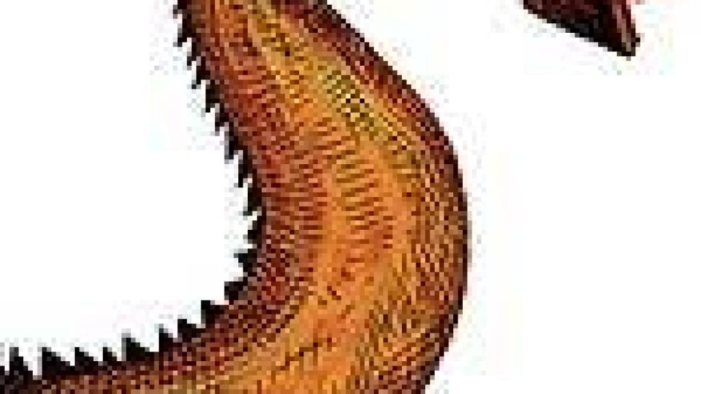 Image: Las leyes de la cultura