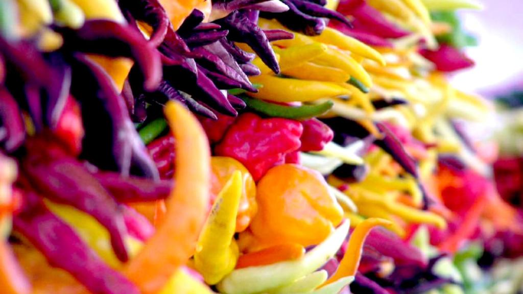 chiles_cc_toofarnorth