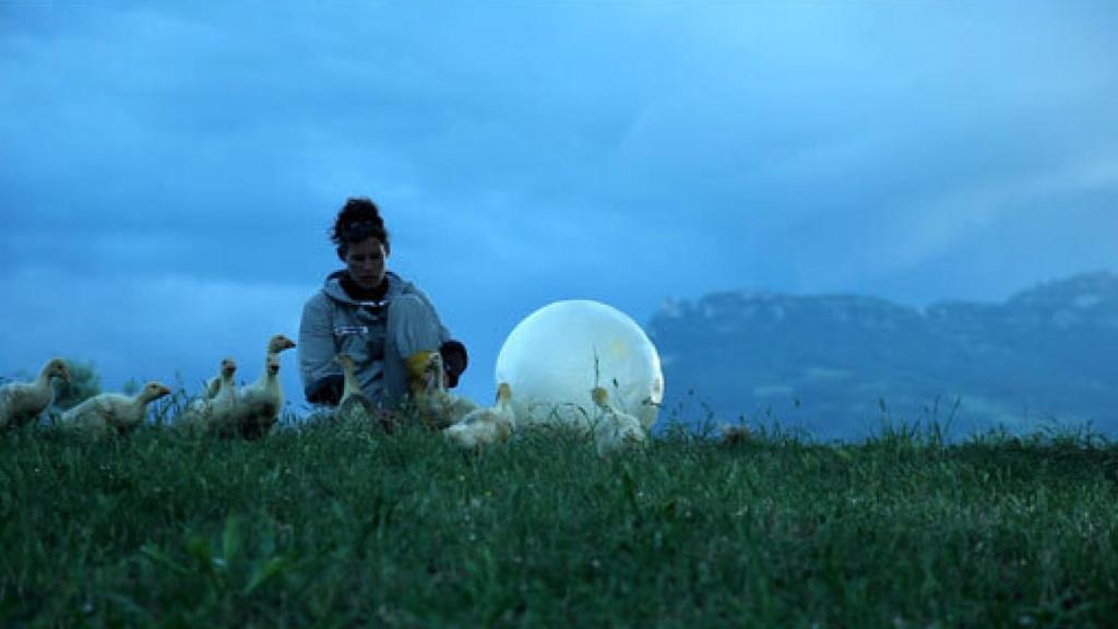 Image: 15 años de VIDA