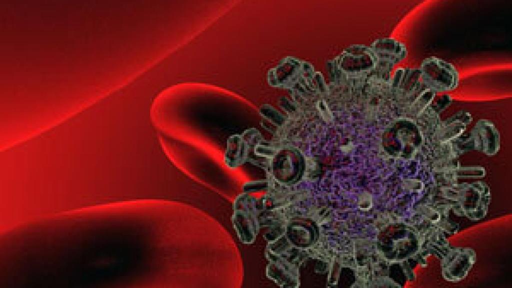 Image: Una vacuna española contra el Sida logra una respuesta inmune del 90 por ciento