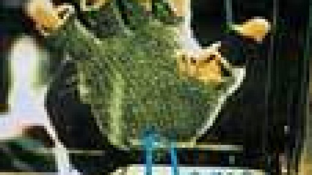 Image: Ben en el mundo