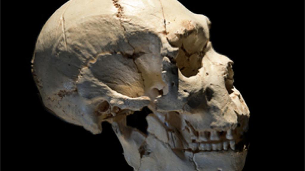 Image: Miguelón cumple... 20 años