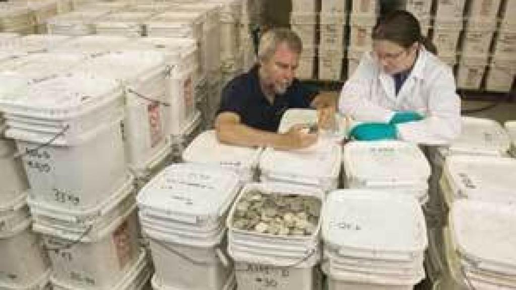 Image: España logra la victoria en la batalla por el tesoro de la fragata Nuestra Señora de la Merced