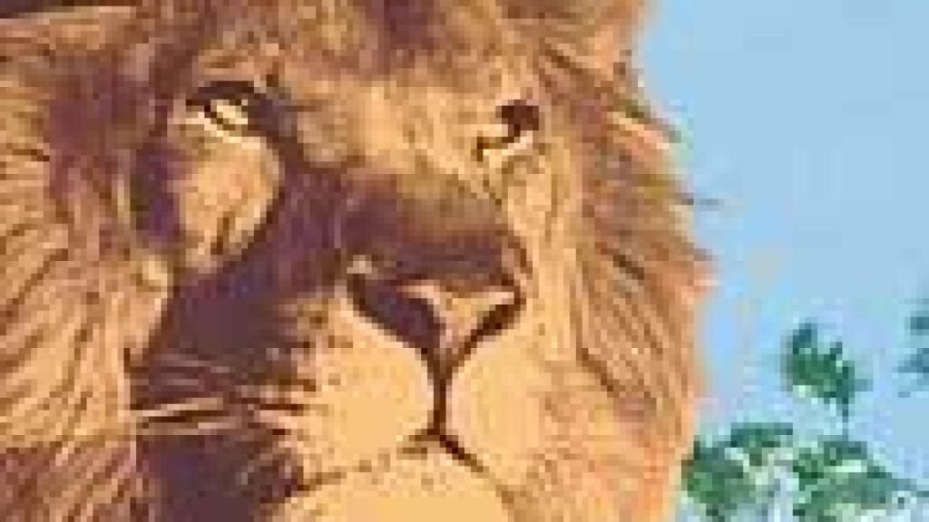 Image: El león