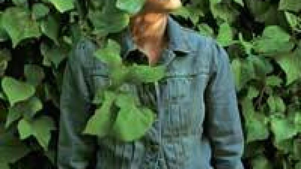 Image: Cielo nocturno