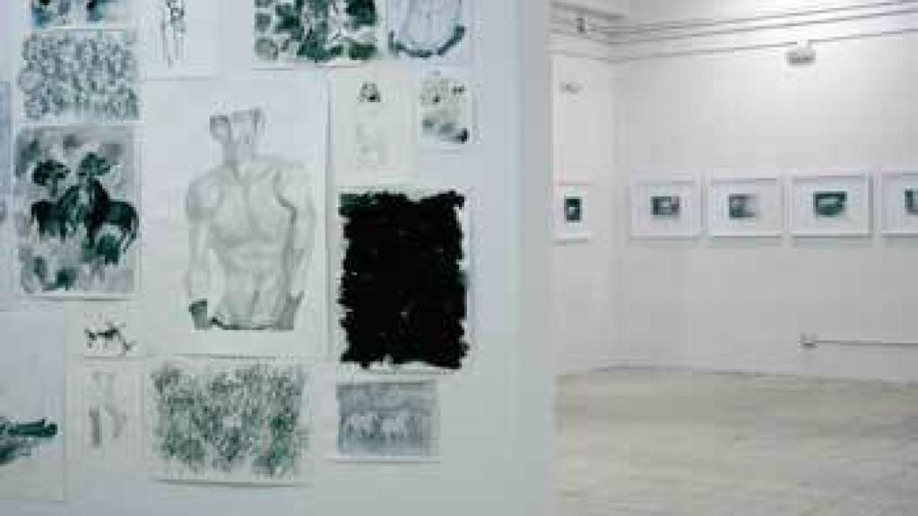 Image: El papel de doméstico