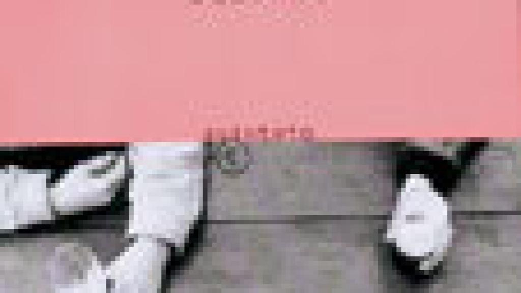 Image: La conquista del aire