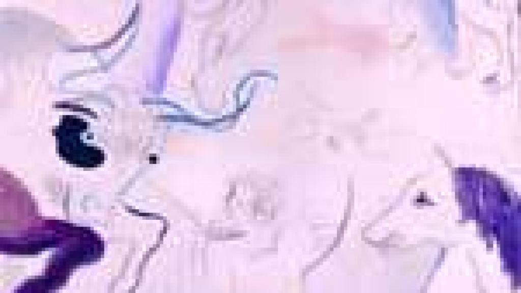 Image: González Bernal