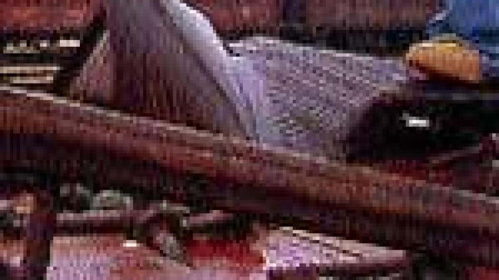 Image: Viaje con nosotros