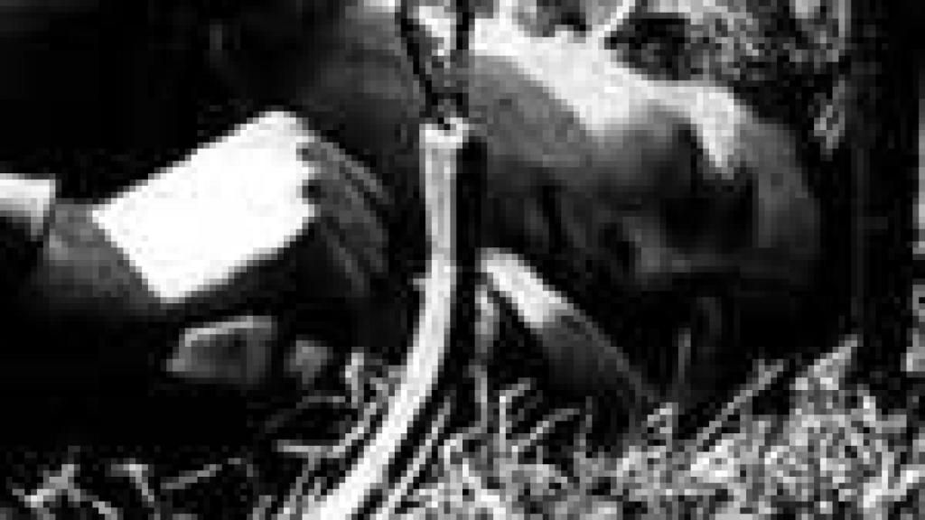 Image: La División Azul: sangre española en Rusia, 1941-1945