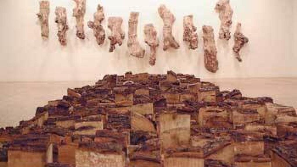 Image: Fernando Casás en defensa de la naturaleza