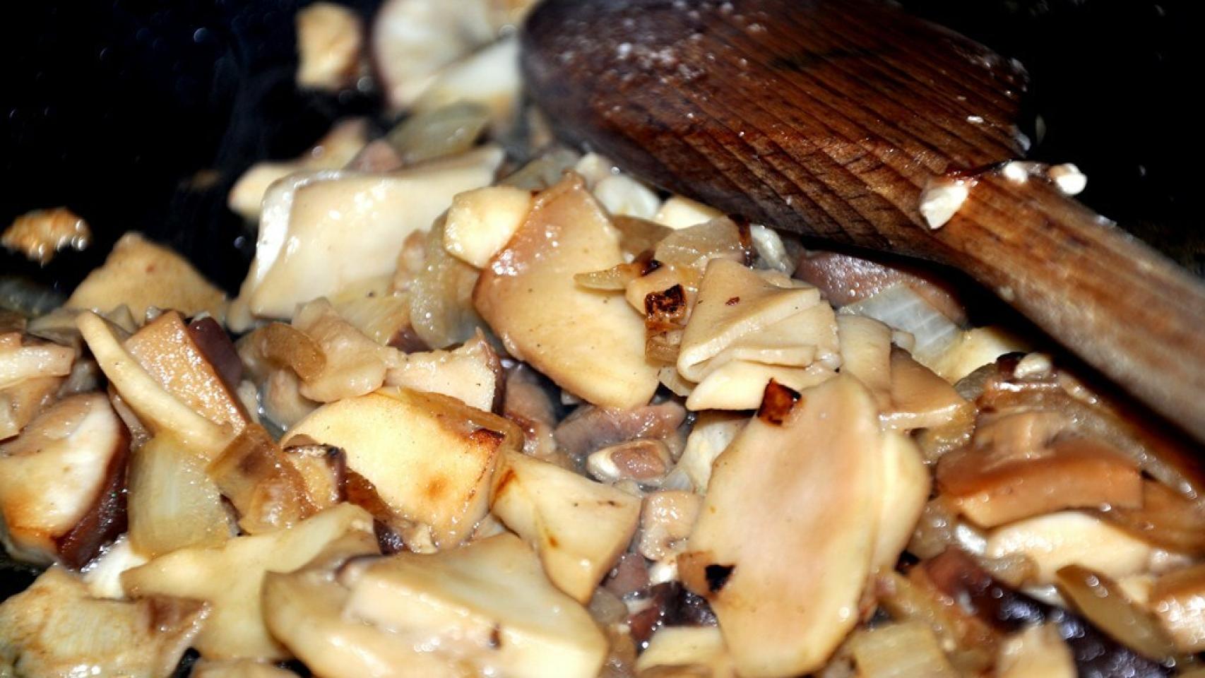 habitas-baby-boletus-trufa-02