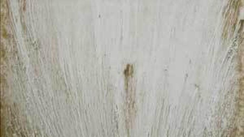 Image: Ricardo Calero