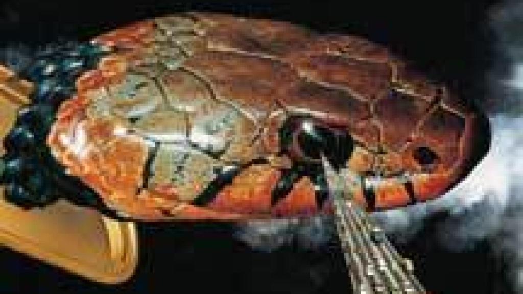 Image: La Primavera se revela