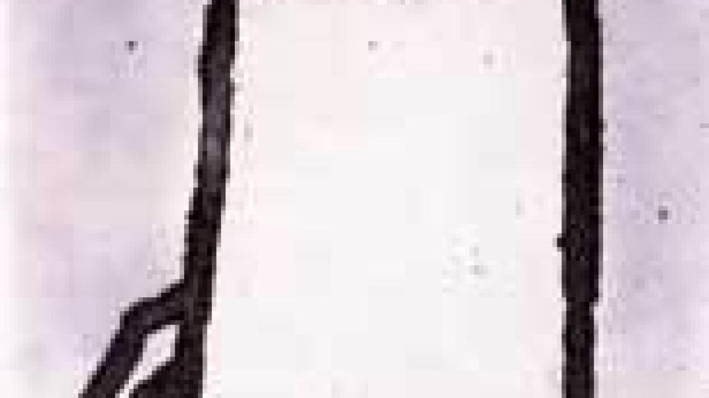 Image: Vicente Rojo, alas de papel