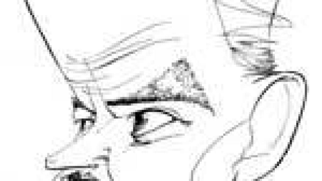 Image: México: Juan Rulfo, fotógrafo