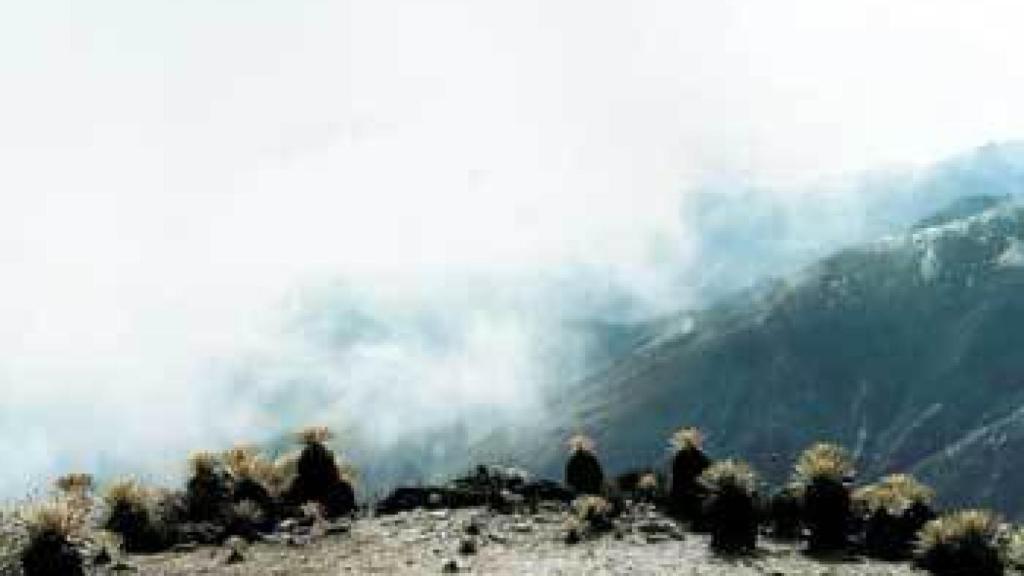 Image: Axel Hötte, el viajero inmóvil