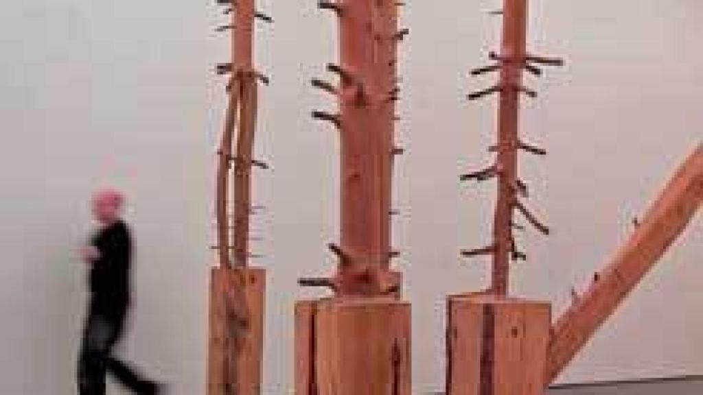 Image: La sorpresa y el mito de Penone