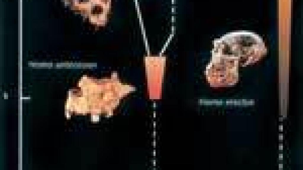 Image: Atapuerca, Retorno a la Gran Dolina