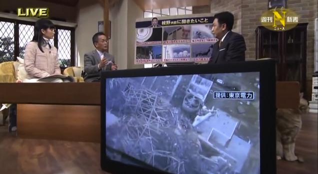 Gato noticias japonesas -1