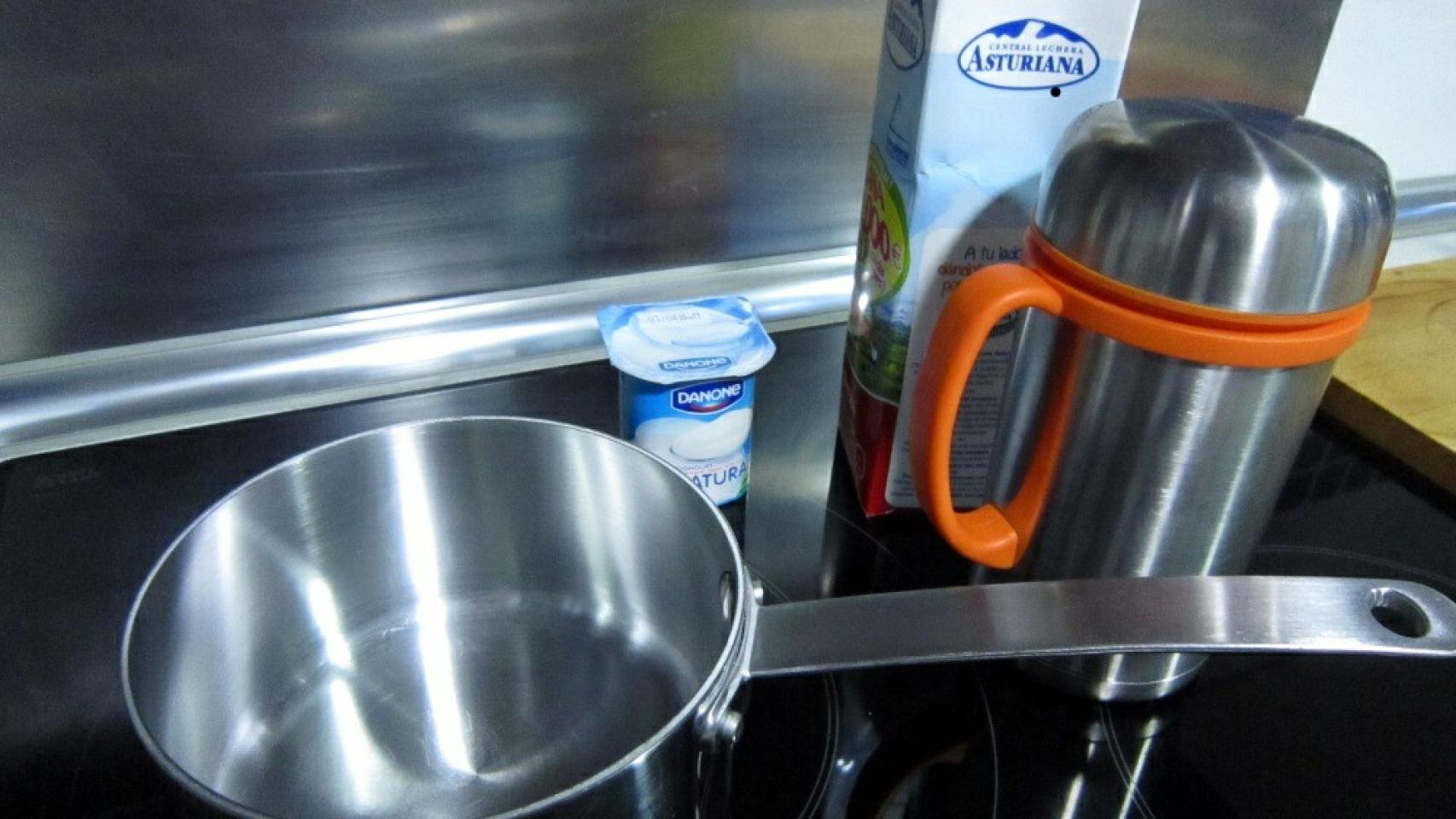 Yogur casero - Ingredientes