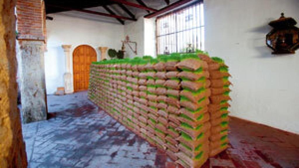 Image: Patios de Córdoba o donde la vida se une al arte