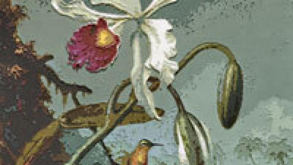 Image: Vik Muniz, rica ambigüedad