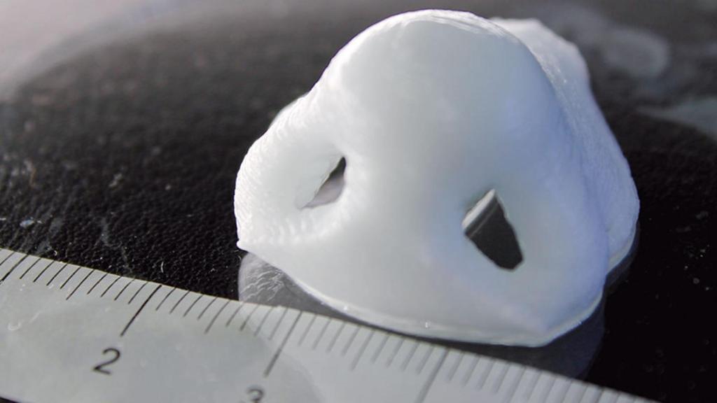 nariz impresion 3d port