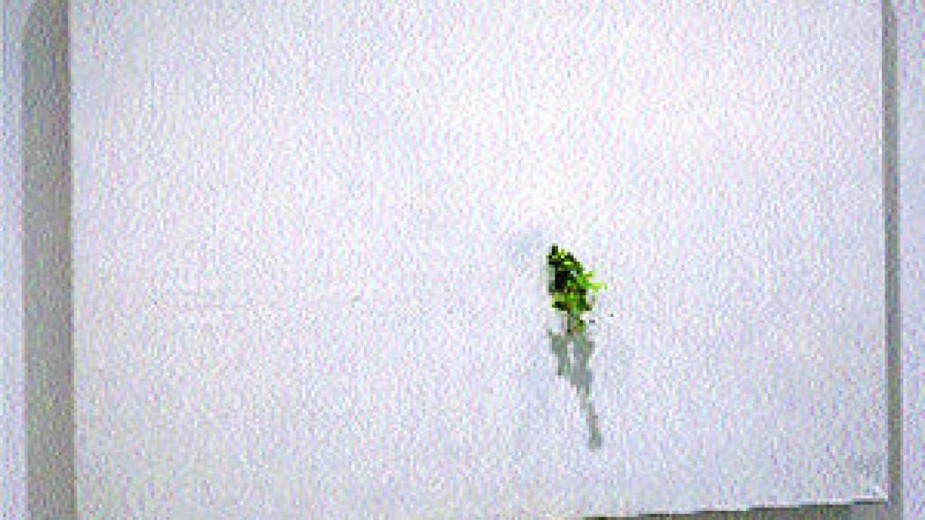 Image: Exportacion y ahorro