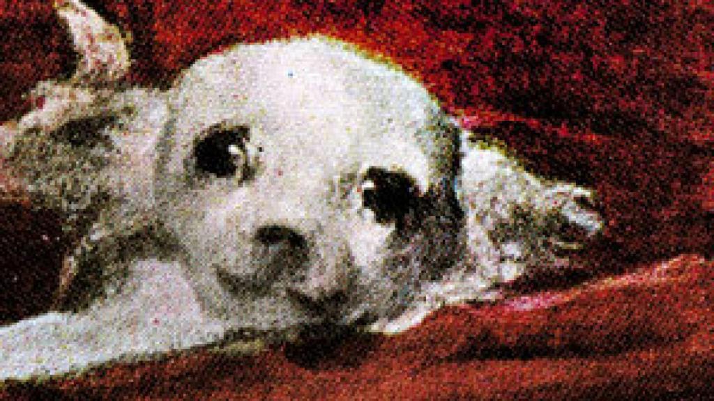 Image: Matthew Buckingham, de 1720 a 502002 d.C.