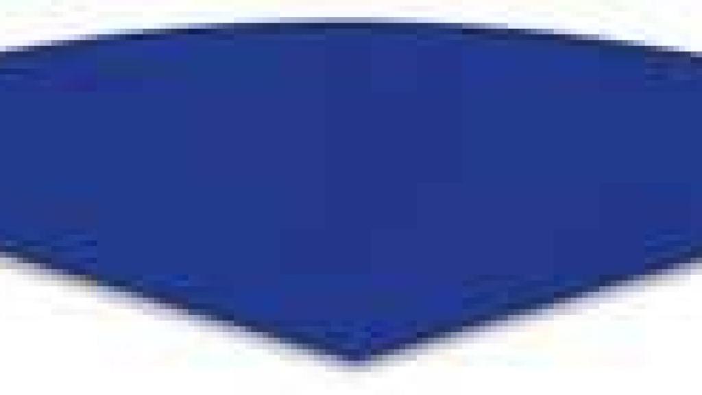 Image: Ellsworth Kelly
