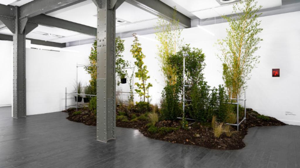 Imagen | Verde que te quiero verde