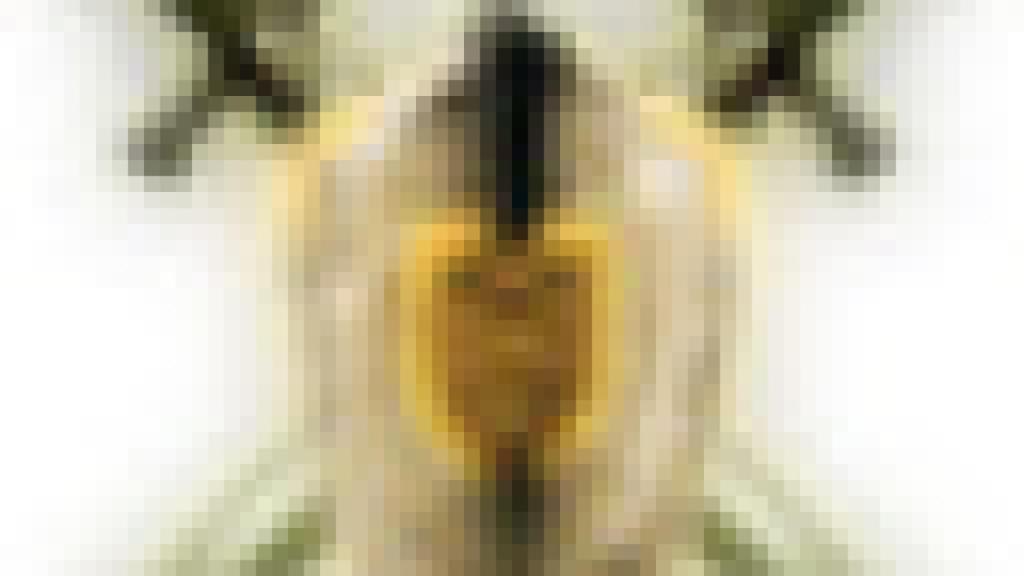 Pocket Empire, no sólo un juego de estrategia online.