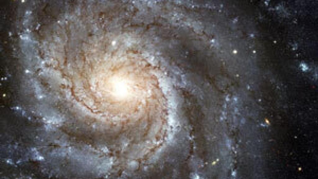 Image: Viaje a la complejidad. Del Big Bang al origen de la vida