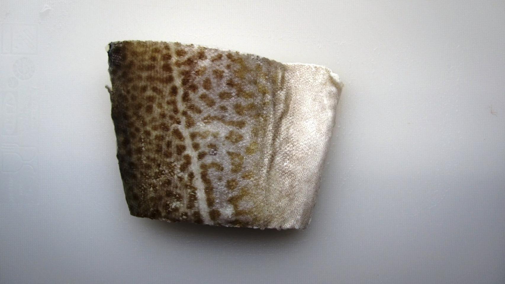 PINTXO DE BACALAO EN ACEITE 1