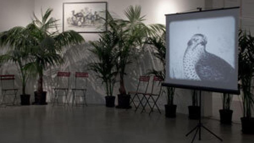 Image: Broodthaers, placeres prohibidos