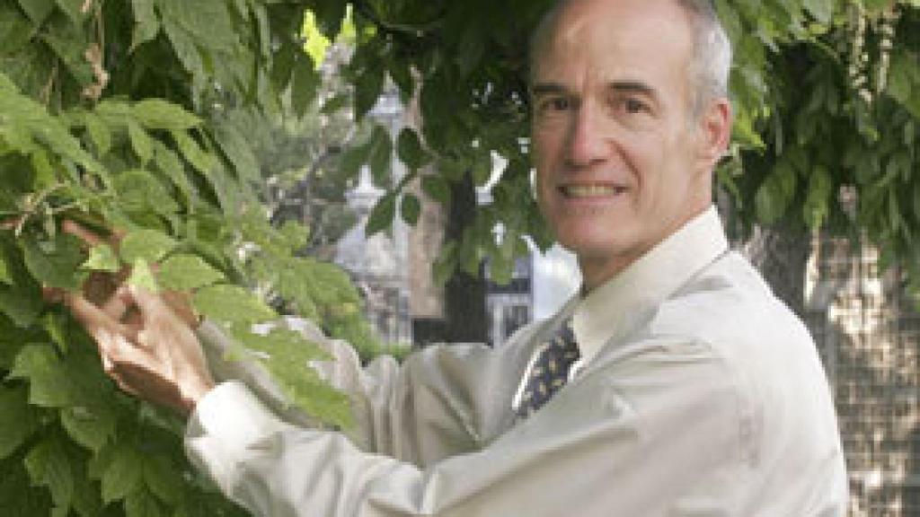 Image: Peter Reich