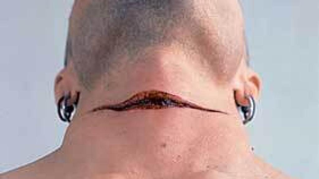 Image: Mucho ruido y...