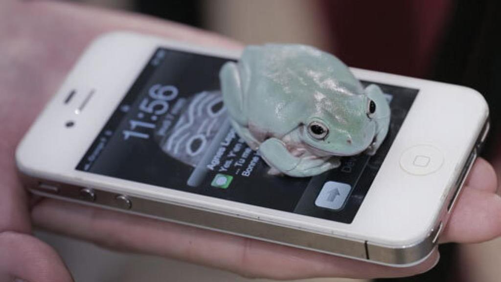 Image: Justo delante de nosotros: la ceguera