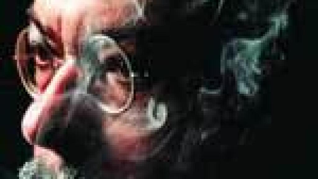 Image: Puro humo