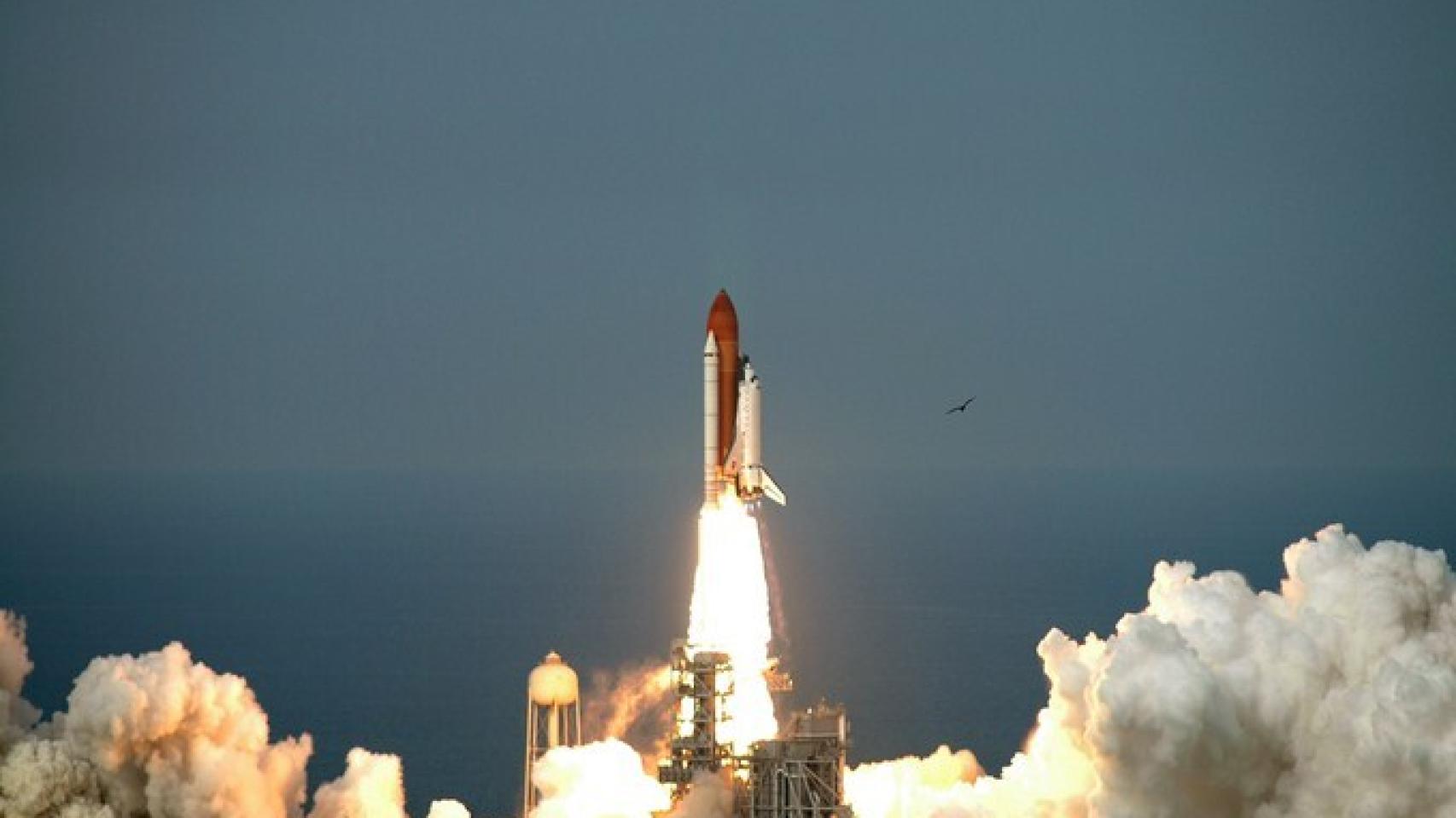 Endeavour-interior-01