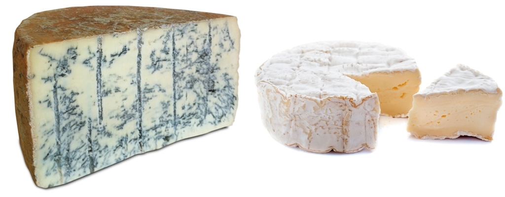 moho-interior-exterior