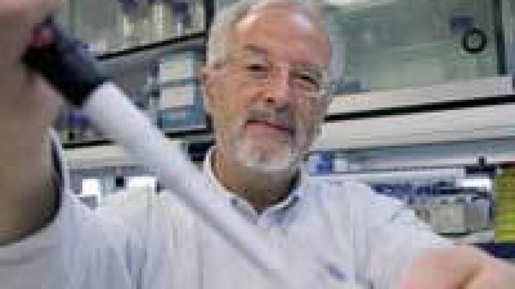 Image: Luis Enjuanes