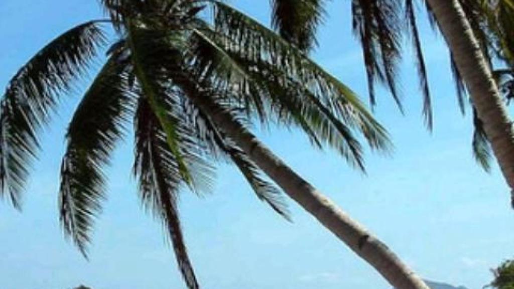 xScope o Dolphin, los dos mejores navegadores para Android