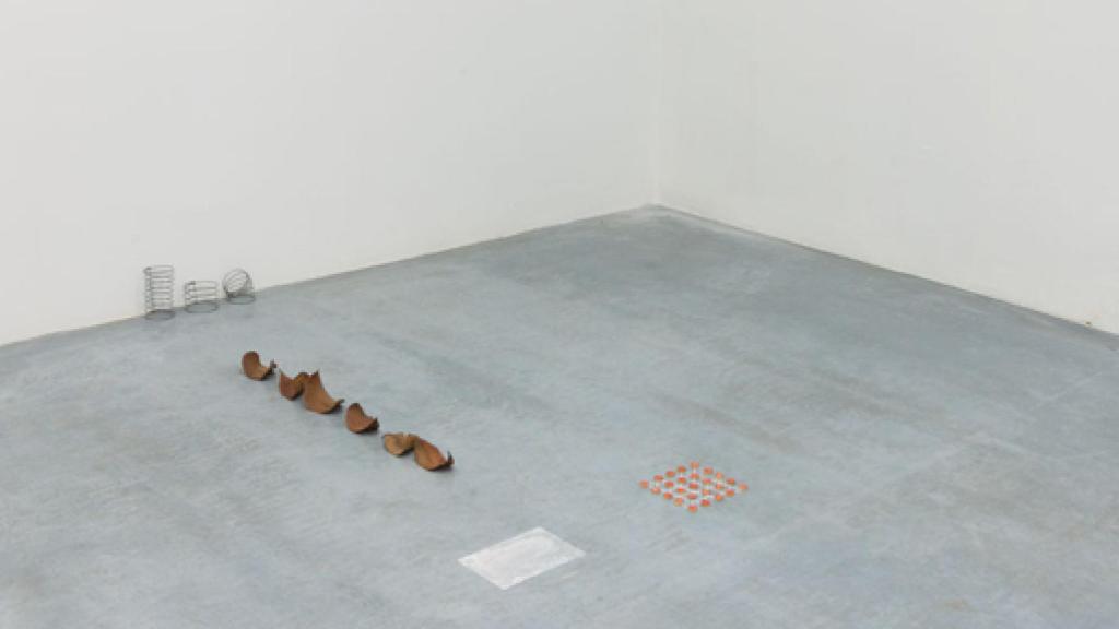 Image: Nicolás Paris: tela, hilo y ramas