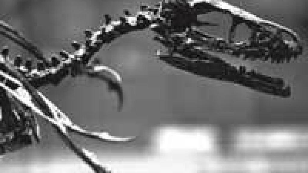 Image: El ejemplo de Oxford